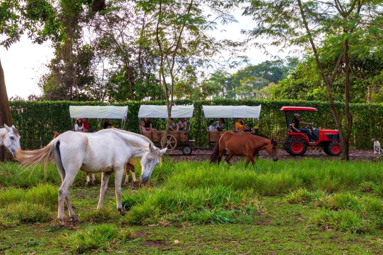 Hotel Campestre La Potra Apiay المظهر الخارجي الصورة