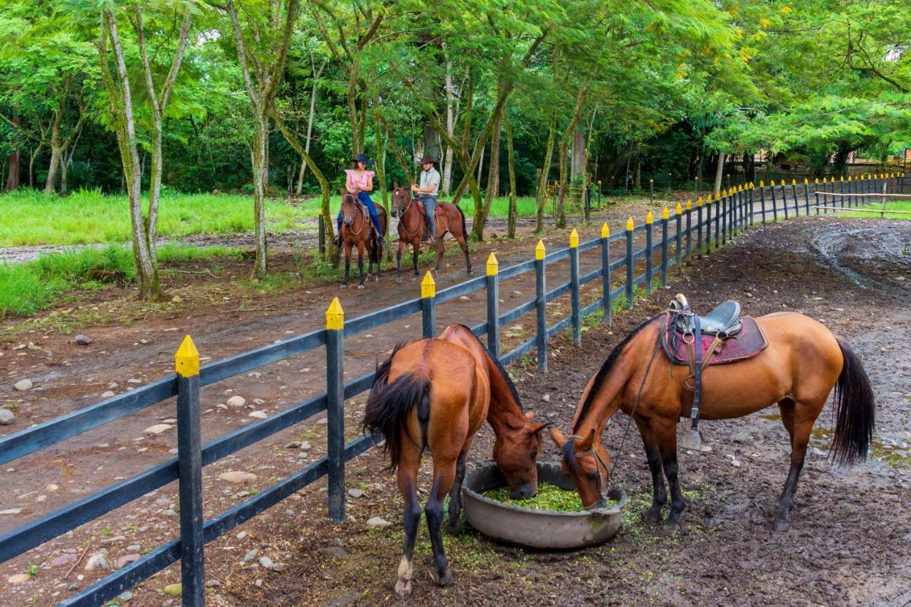 Hotel Campestre La Potra Apiay المظهر الخارجي الصورة