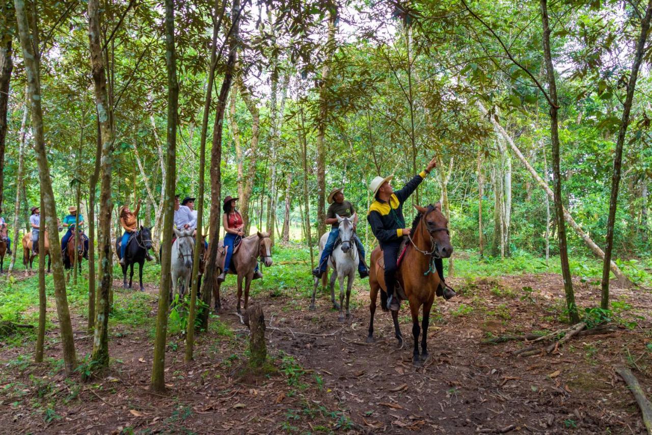 Hotel Campestre La Potra Apiay المظهر الخارجي الصورة